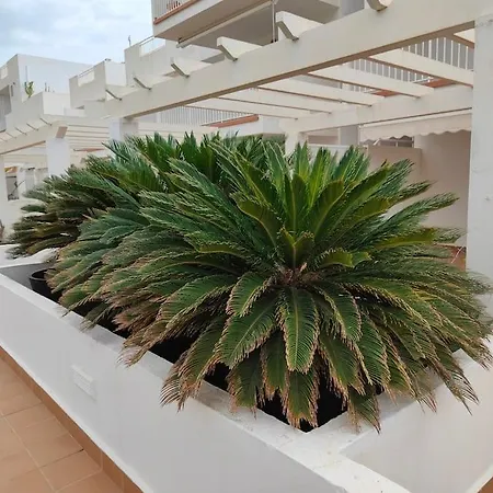 Апартаменты Spacious And Luxurious